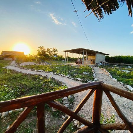 Habibis Bottle House Bed & Breakfast Nungwi Bagian luar foto