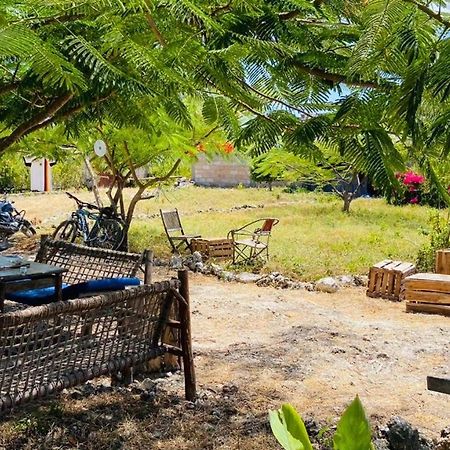 Habibis Bottle House Bed & Breakfast Nungwi Bagian luar foto