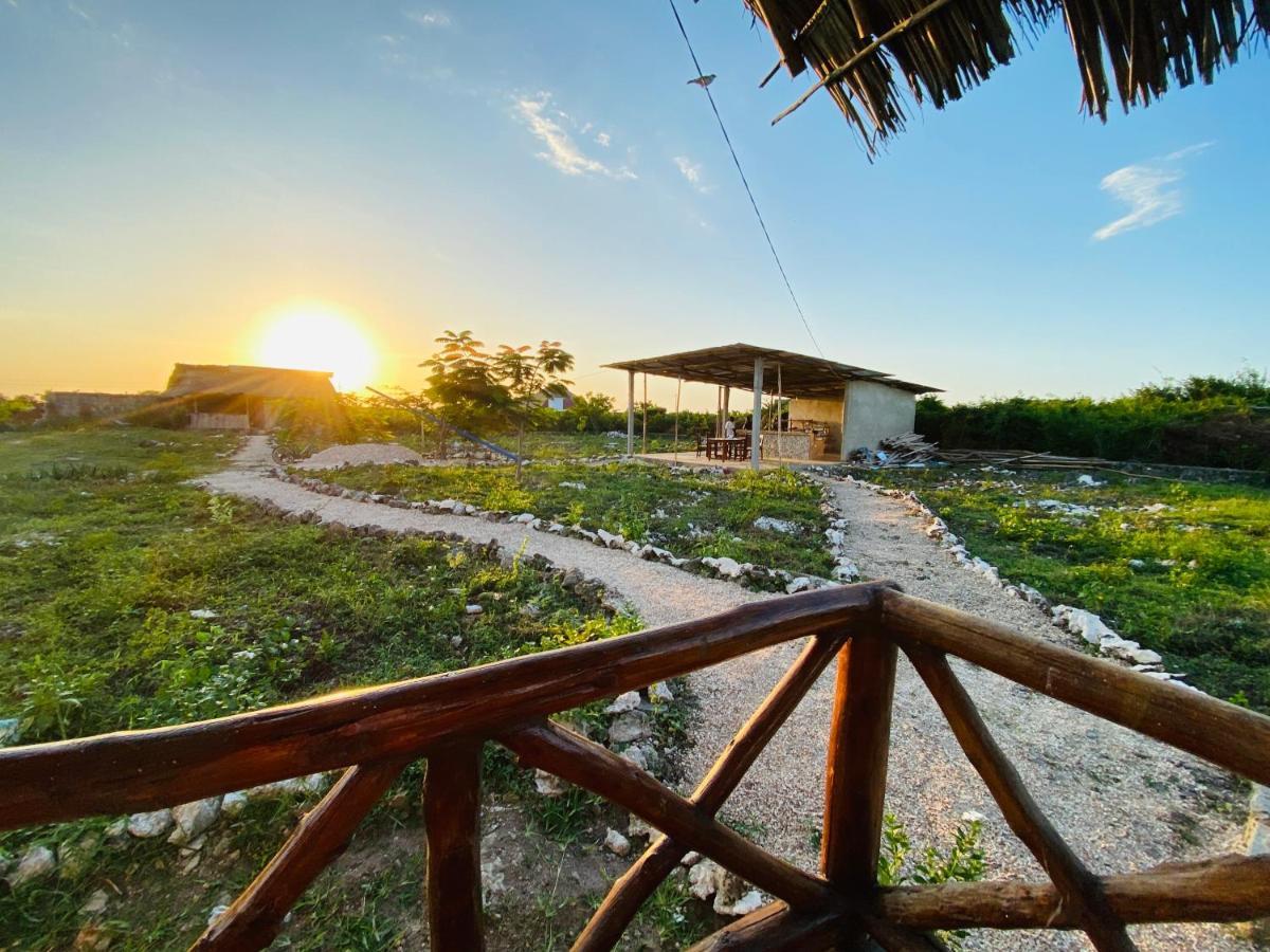 Habibis Bottle House Bed & Breakfast Nungwi Bagian luar foto