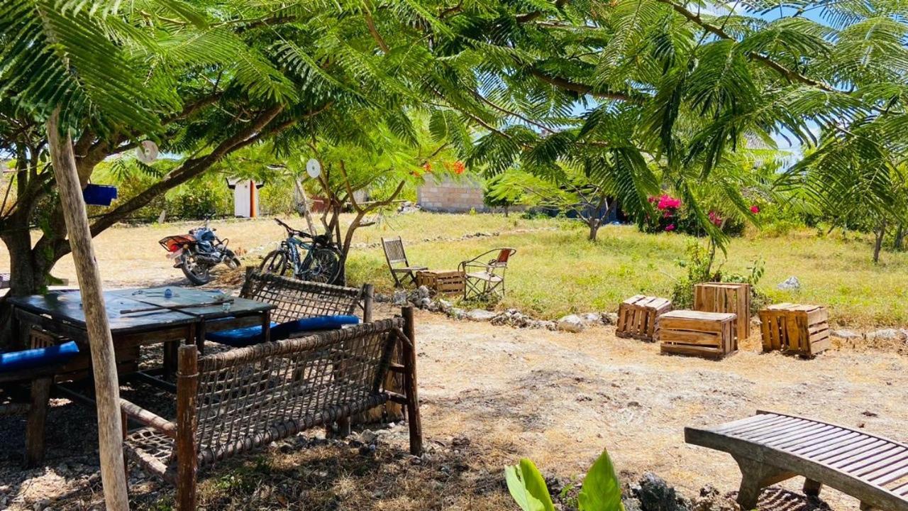 Habibis Bottle House Bed & Breakfast Nungwi Bagian luar foto