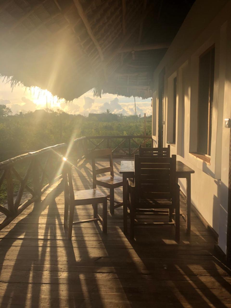 Habibis Bottle House Bed & Breakfast Nungwi Bagian luar foto